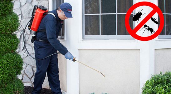 Aşkale Akrep İlaçlama böcek ilaçlama ve haşere kontrolü — ilaclama-tr.com